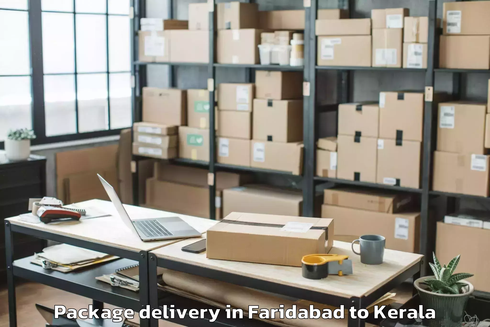 Book Faridabad to Nenmara Package Delivery Online